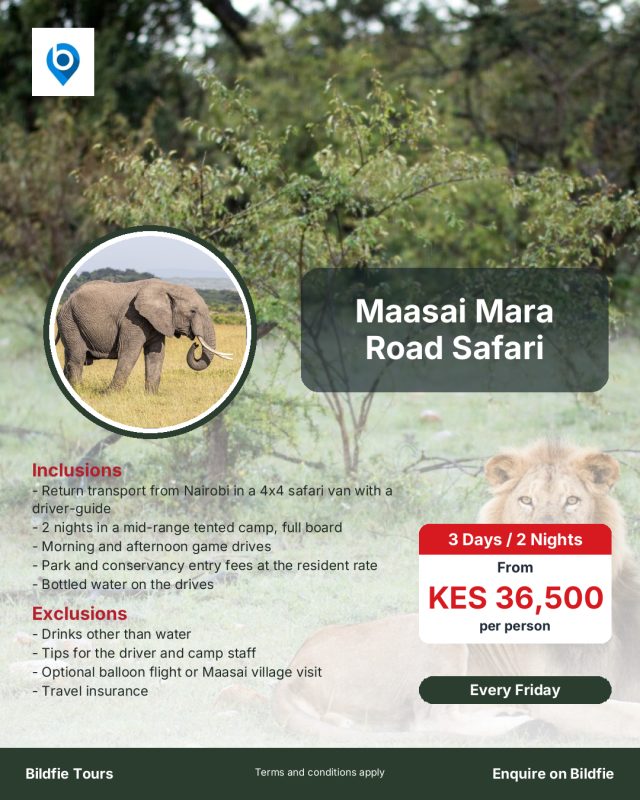 Maasai Mara safari poster
