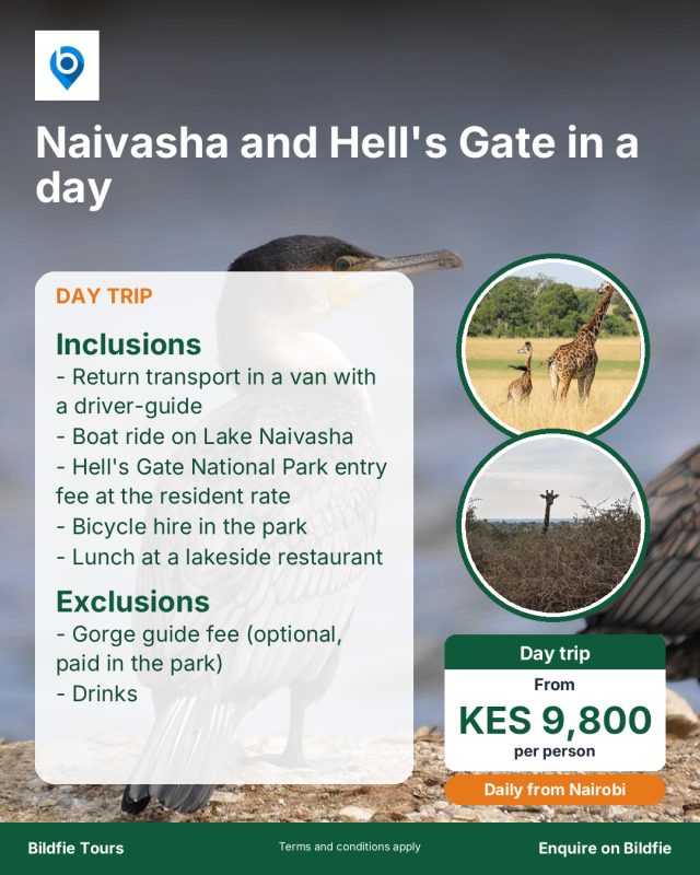 Naivasha day trip poster