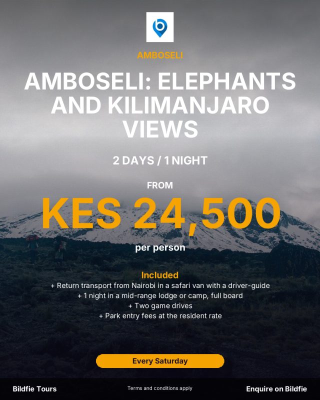 Amboseli poster