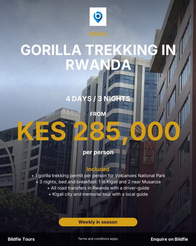 Rwanda gorilla poster